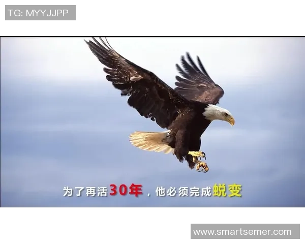 杭州极限运动队心理素质排名第九揭示运动员心理素质的重要性与发展潜力