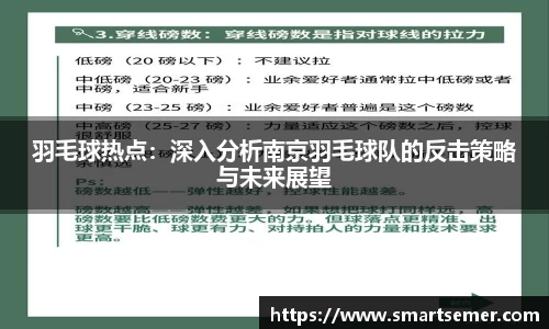 羽毛球热点：深入分析南京羽毛球队的反击策略与未来展望