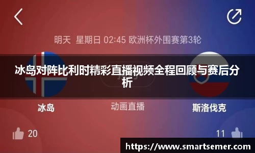 冰岛对阵比利时精彩直播视频全程回顾与赛后分析